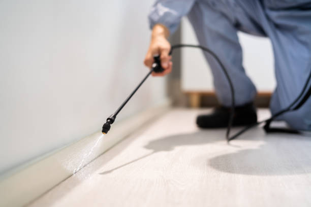 Licensed Pest Control service in Custer, SD - Show Me Pest Control