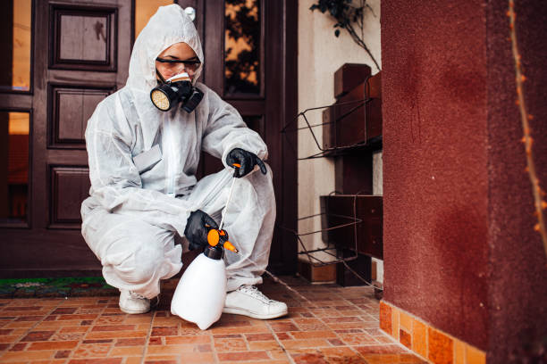 Multi-Unit and Airbnb Bed Bug Protocol in Custer
