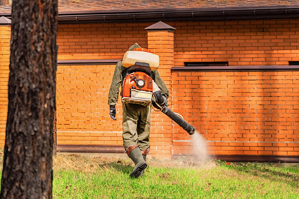 Bed Bug Clearance Verification and Documentation in Custer